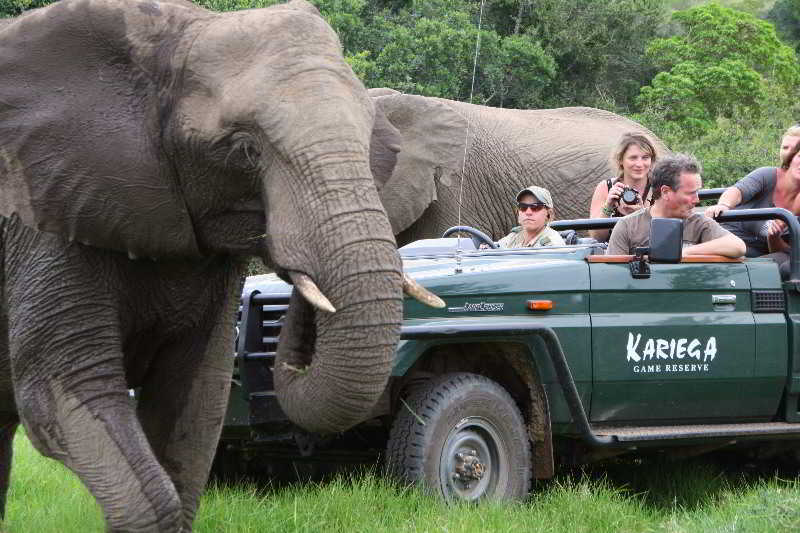 Kariega Game Reserve Bushman's River Mouth Kültér fotó