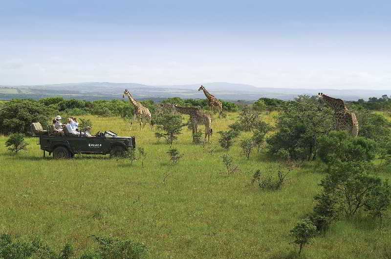 Kariega Game Reserve Bushman's River Mouth Kültér fotó