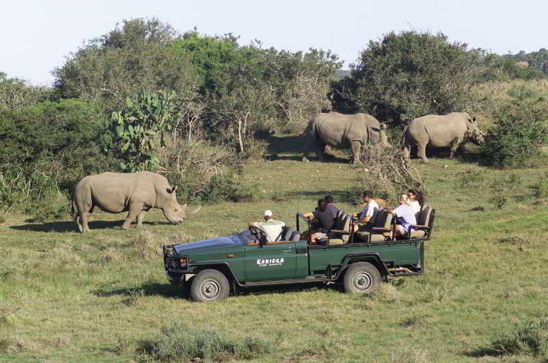 Kariega Game Reserve Bushman's River Mouth Kültér fotó